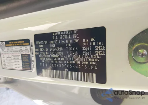 2024 Kia Telluride Sx X-Pro from USA, damaged, VIN 5XYP5DGC5RG496184